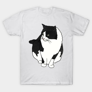 Black And White Cat T Shirts for Sale TeePublic
